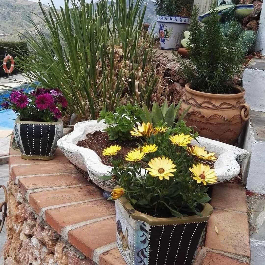 Cortijo El Nino Frigiliana Málaga